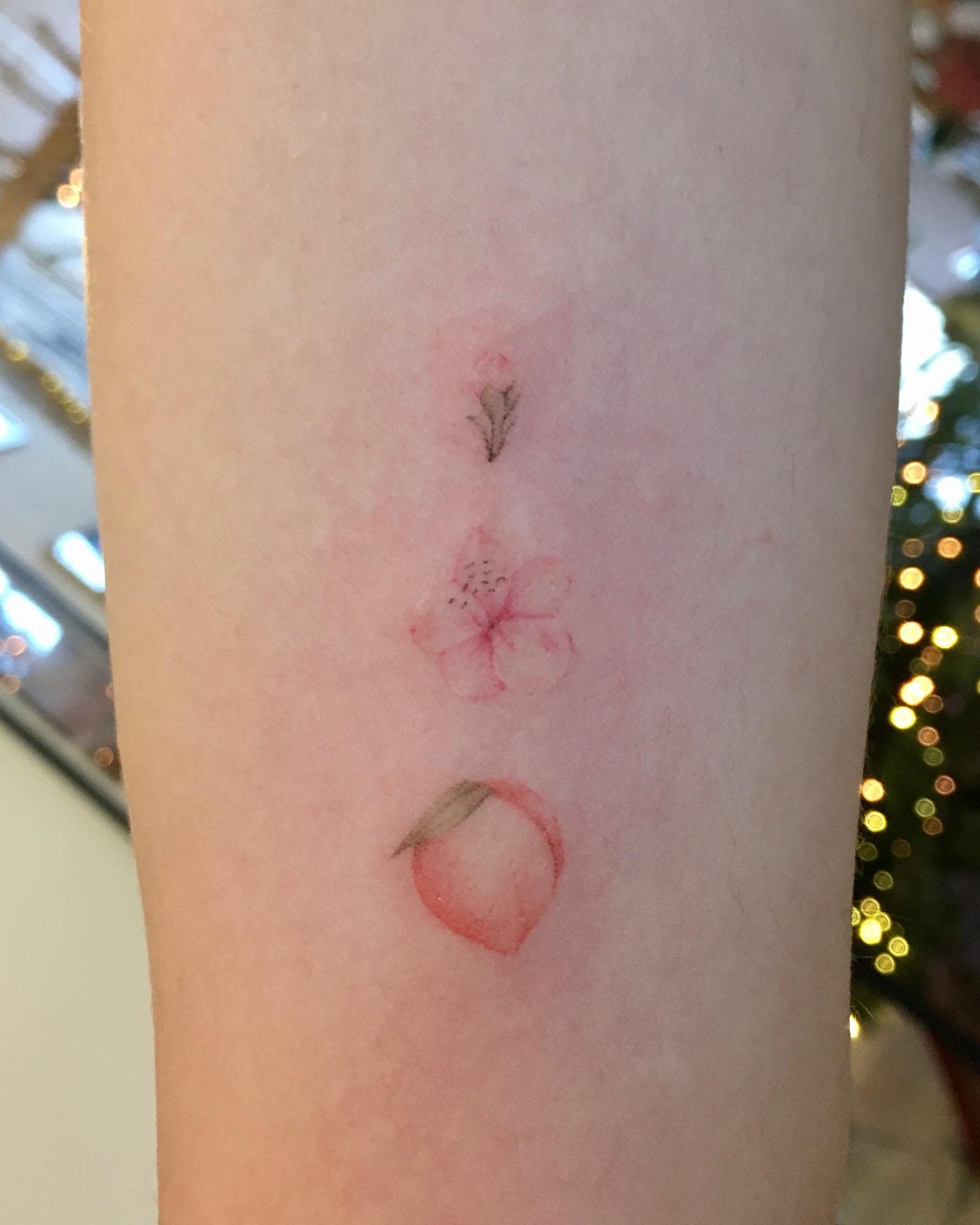 A forearm tattoo featuring a peach blossom bud, a fully bloomed peach flower, and a ripe peach